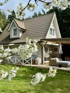 Harmony House - 维塞乌卡