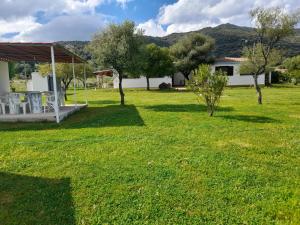 Affitta Camere L'Oleandro img6