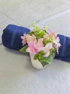 Eagle's Nest Suite with Netflix - Aplaya