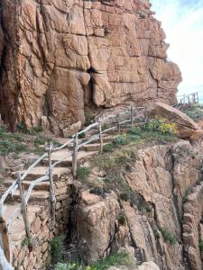 Live Sea and Nature img37