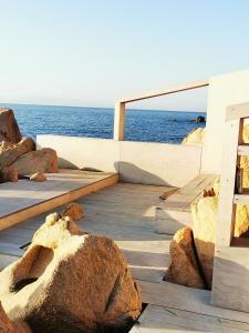 Live Sea and Nature img33