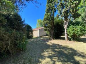 Maisons de vacances Gite des Oiseaux 3 CHAMBRES : photos des chambres