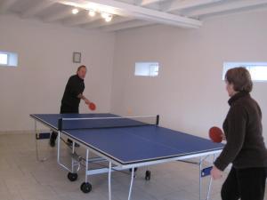Maisons de vacances Gite - Le Domaine des Hallais : photos des chambres