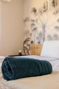 Juan les Pins appartement Rooftop, 2 chambres avec parking