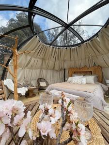 Tentes de luxe Dome etoile : photos des chambres