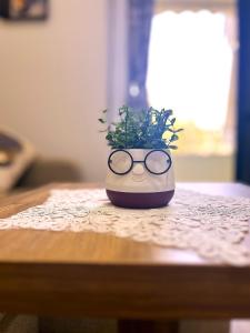 KAM Apartments in Lungomare