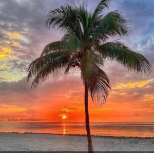 Nissi Wave villa 5 Min walking to Nissi beach - 4hvězdičkové hotely ve městě Ayia Napa