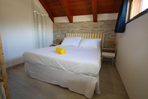 EDRI Punta Tresino a Castellabate