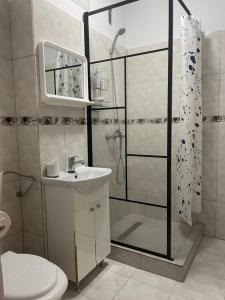 Sonias apartment in Cluj