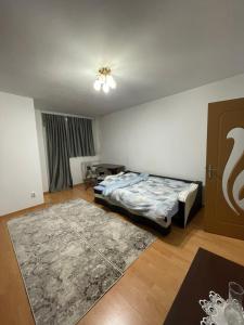 Sonias apartment in Cluj