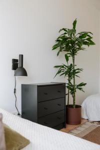 Apartment for friends & families