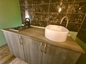 Miško Pašvaistėje - poilsis gamtoje