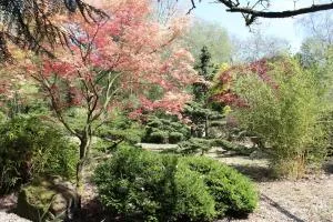 Le Clos de Penguily Brocéliande 16 couchages SPA - 圣欧内小教堂