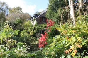 Maisons de vacances Le Clos de Penguily Broceliande 16 couchages SPA : photos des chambres