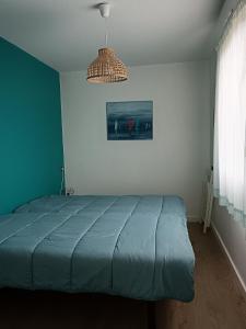 Appartements Cook appartement : photos des chambres