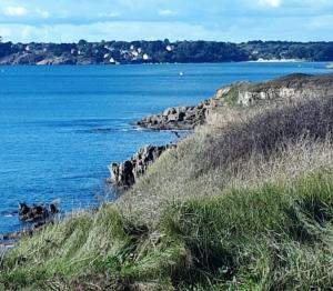 Appartements Bel appartement avec terrasse et sa petite vue mer Kerroc-h : Appartement 2 Chambres