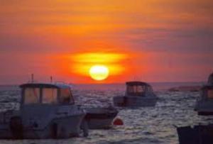 Appartements Bel appartement avec terrasse et sa petite vue mer Kerroc-h : photos des chambres