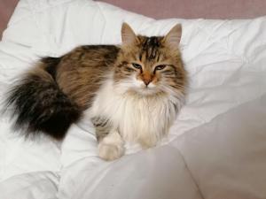 Domačija Malnarjevi