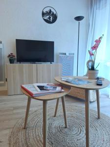 Appartement St Lary Soulan village - Classé 3 étoiles et labelisé - WIFI inclus