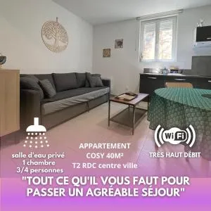 Fenix Appartement T2 40 M2 cosy RDC plein centre ville - 布尔圣昂代奥