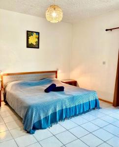 Spacious Villa 2 mins from Mont Choisy Beach