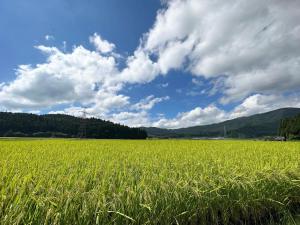 古民家宿&バル てらわき