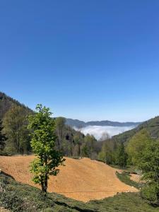 VAESS Villa Dağ Evleri