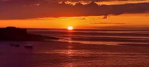 Appartements Bel appartement, grande terrasse cote mer Kerroc-h : photos des chambres