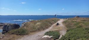 Appartements Bel appartement, grande terrasse cote mer Kerroc-h : photos des chambres