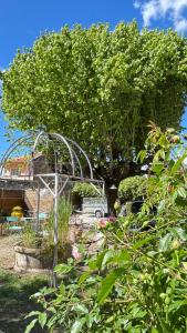 Appartements Sous le tilleul : photos des chambres
