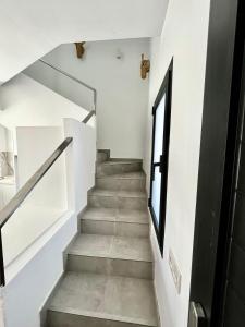 Gorgeous douplex apartment in Parque Holandes