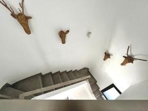 Gorgeous douplex apartment in Parque Holandes