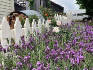 OLDGREENWELLS B&B