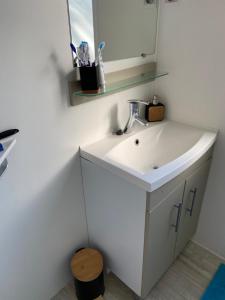 Mobil home 3 chambres , camping 4 étoiles Le Grau du roi