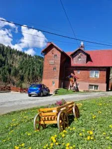 Pensiunea Cabana Viselor - Albac