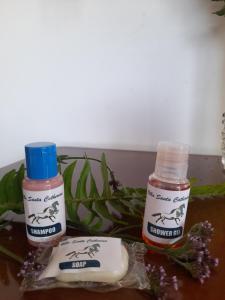 Villa santa Catherina