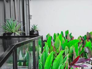 Angkor Legacy Boutique