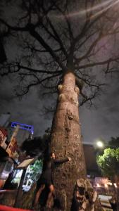 Moms House Granada Apartamento1