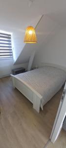 Appartements Bel appartement avec terrasse et sa petite vue mer Kerroc-h : photos des chambres