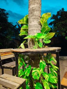 Angkor Legacy Boutique