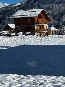 Appartements Beautiful apartment in independent chalet : photos des chambres