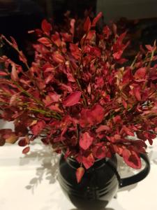 Annex Fjara greater Oslos best view sleeps 10 guests in 3 bedrooms