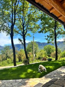 Cottage retreat- Skadar Lake