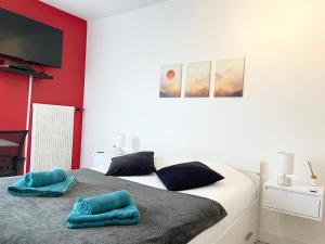 Appartements Studio Le Ruby, Basel Freiburg Colmar Strasbourg : photos des chambres