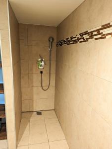 Tiny House dans le jardin