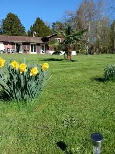 Domaine des Ifs - Cordebugle