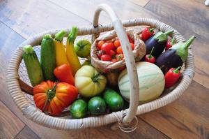 Le Séchoir, au Jardin des Tisanes