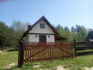 Magiczny las - Skorka