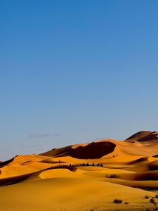 SANDSTAR LUXURIOUS CAMP air-conditioned