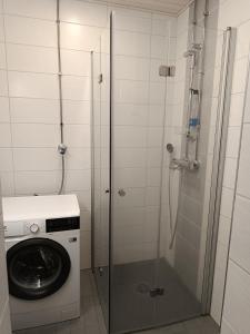 Walhalla Retro apartment